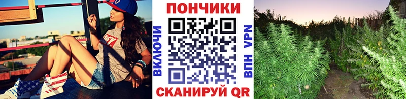 Бошки Шишки Ganja  Володарск 